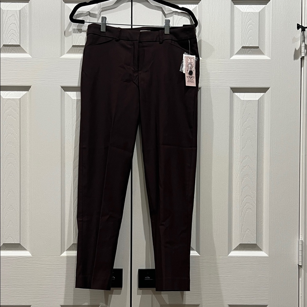 NWT Nanette Lepore Dark Brown Women's Trousers